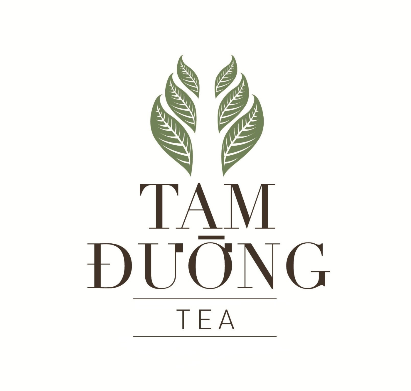 An elegant tea ceremony setting.